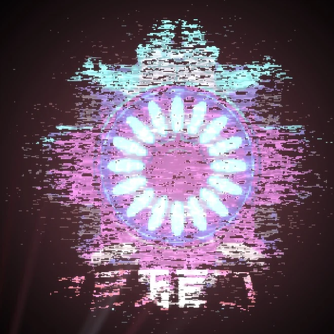 5.png